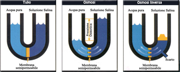 osmosi